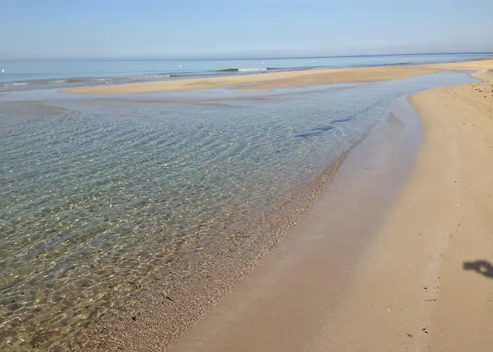 Anemos 莫尔恰诺迪莱乌卡